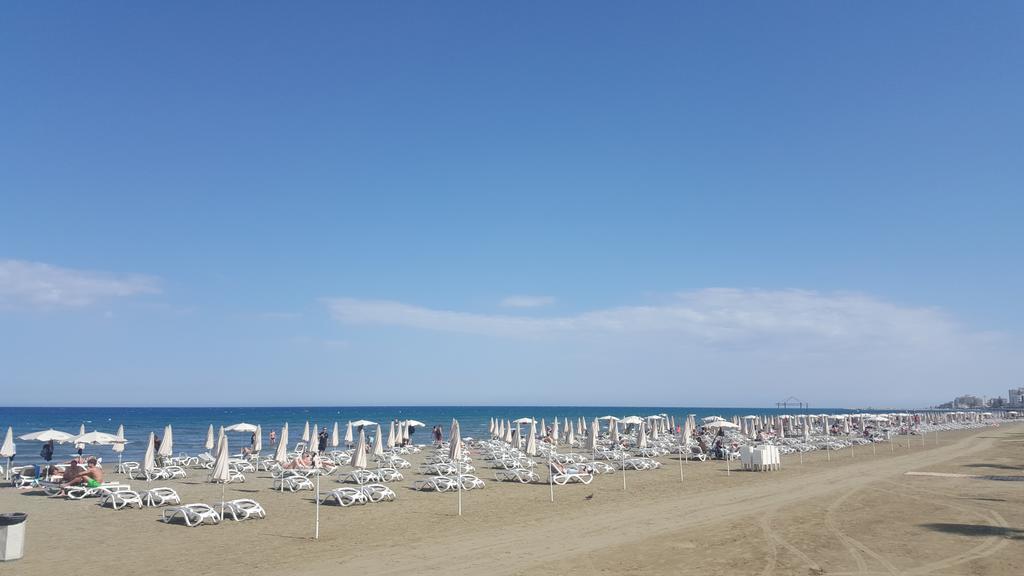 Alex Beach Apartment 31 ラルナカ エクステリア 写真